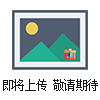 齊全（杰美特）02250155-692壽力空氣濾芯